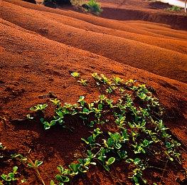《Valkyrie Elysium》已通过ESRB评级 新情报曝光