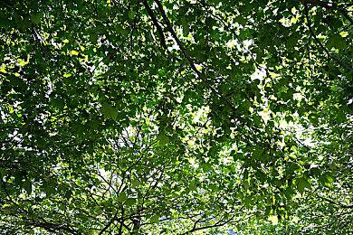 《Thirsty Suitors》发售日期预告 11月3日正式发售